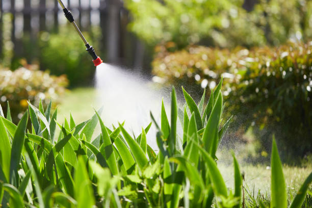 24/7 Emergency Mosquito Control experts in Yellville, AR