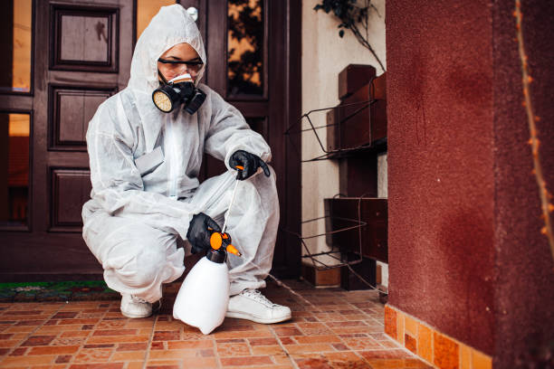 Reliable Mosquito Control contractor in Yellville, AR by Show Me Pest Control